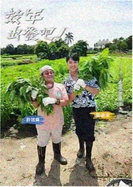 向往的旅途
